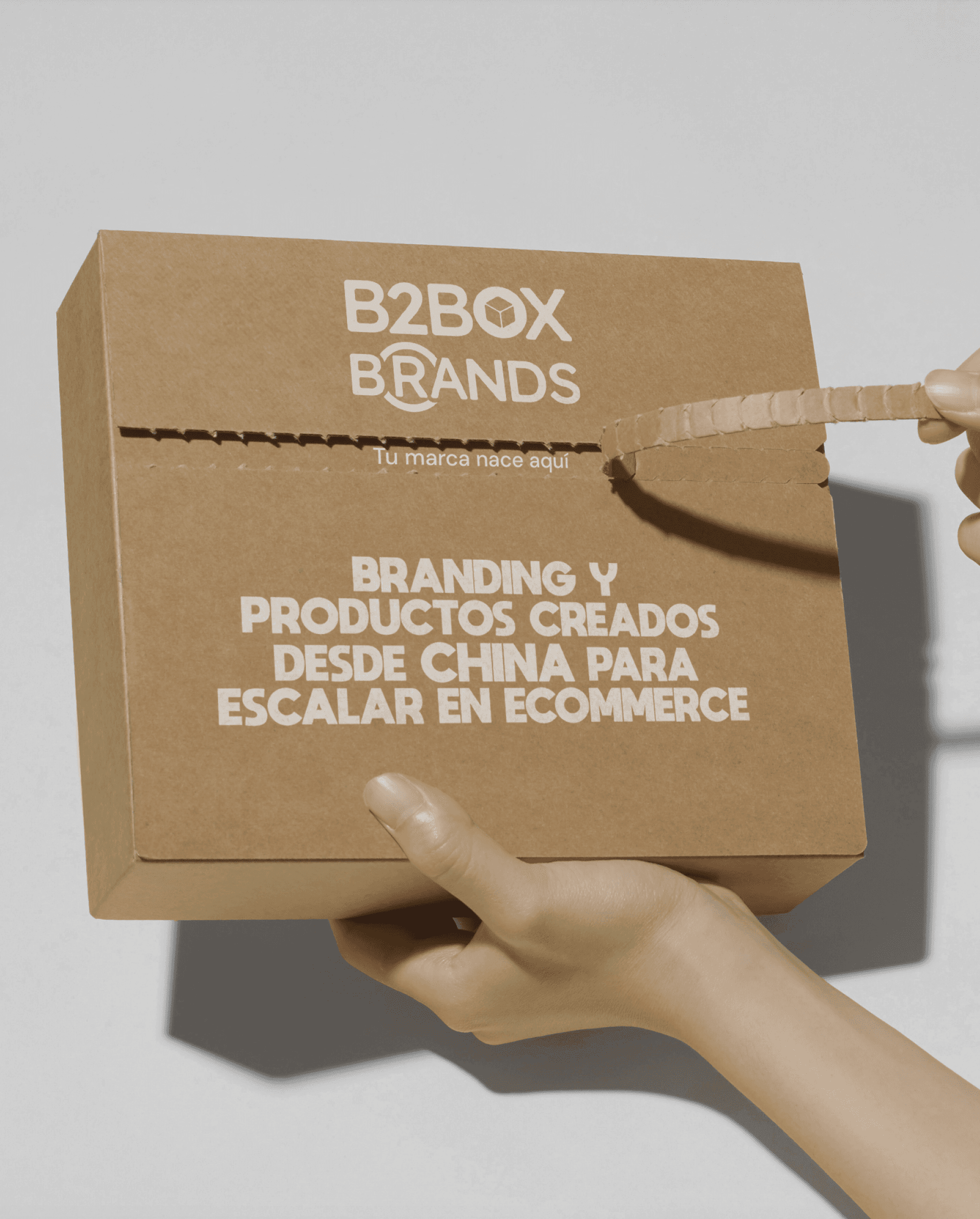 B2BOX Brands packaging mockup